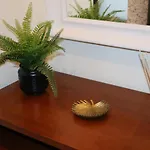 Apartmán Jardim Amoreiras *