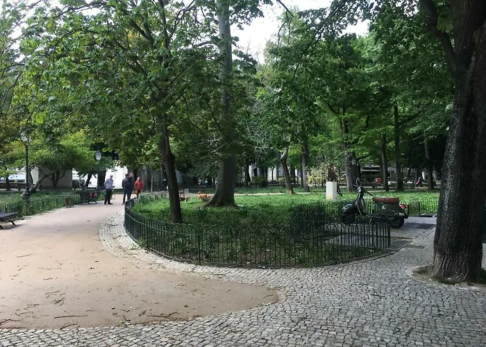 Jardim Amoreiras Апартаменты